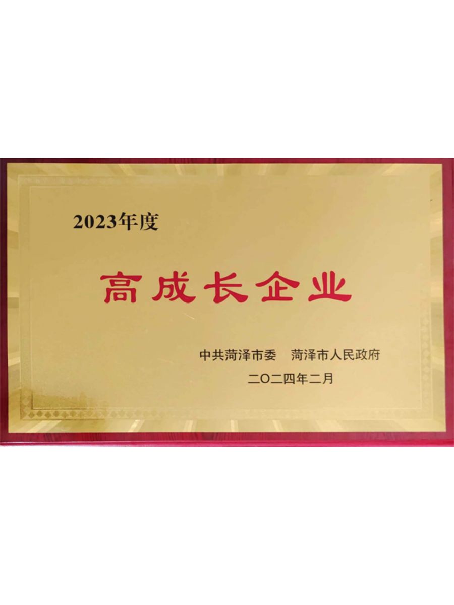 高成長企業(yè)