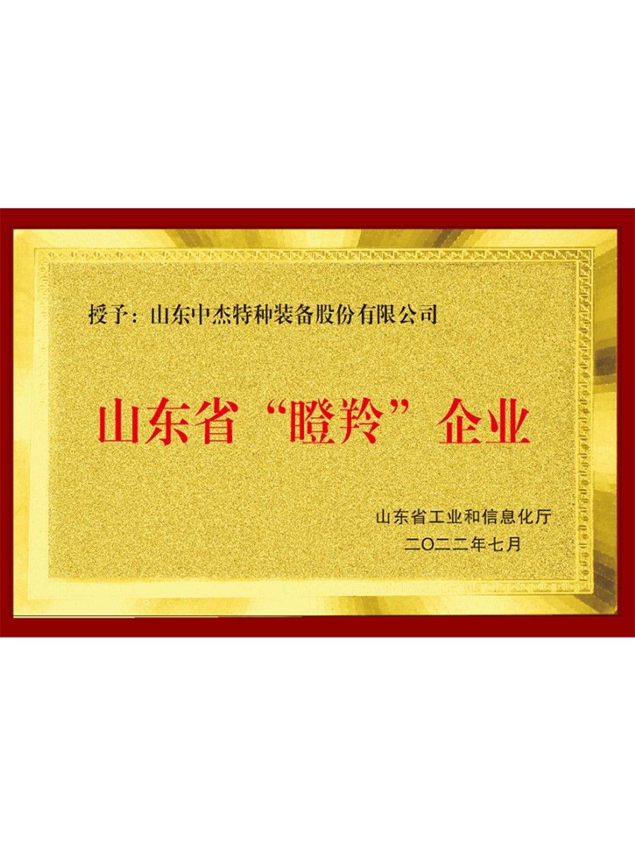 山東省瞪羚企業(yè)